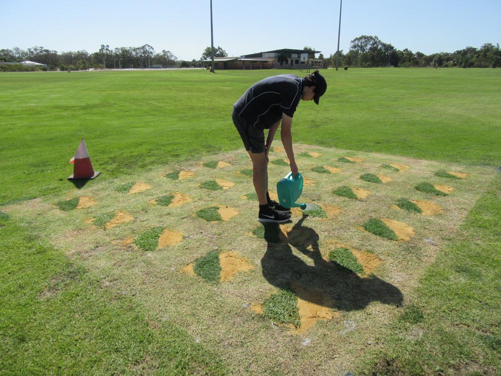 Sports Turf Technology 15 IMG 5552